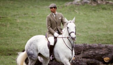 The King's personal obsession sets him apart in an age of bombast