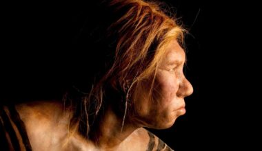 Neanderthal-human hybrids may have been scourged by a genetic mismatch