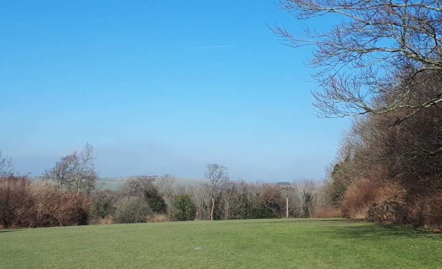An empty field with trees along the side under a blue sky.