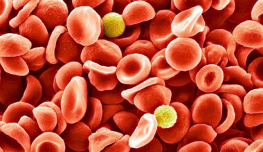 Scientists Identified a New Blood Group After a 50-Year Mystery : ScienceAlert