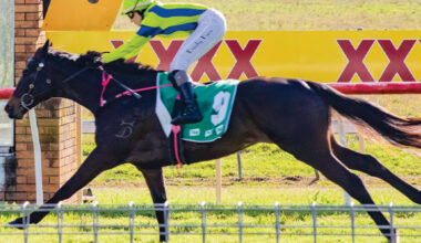 Independent review of thoroughbred racing in NSW