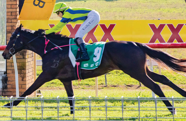 Independent review of thoroughbred racing in NSW