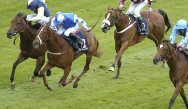 Owner Joseph Joyce Pays Tribute After Death of Saoire at 23