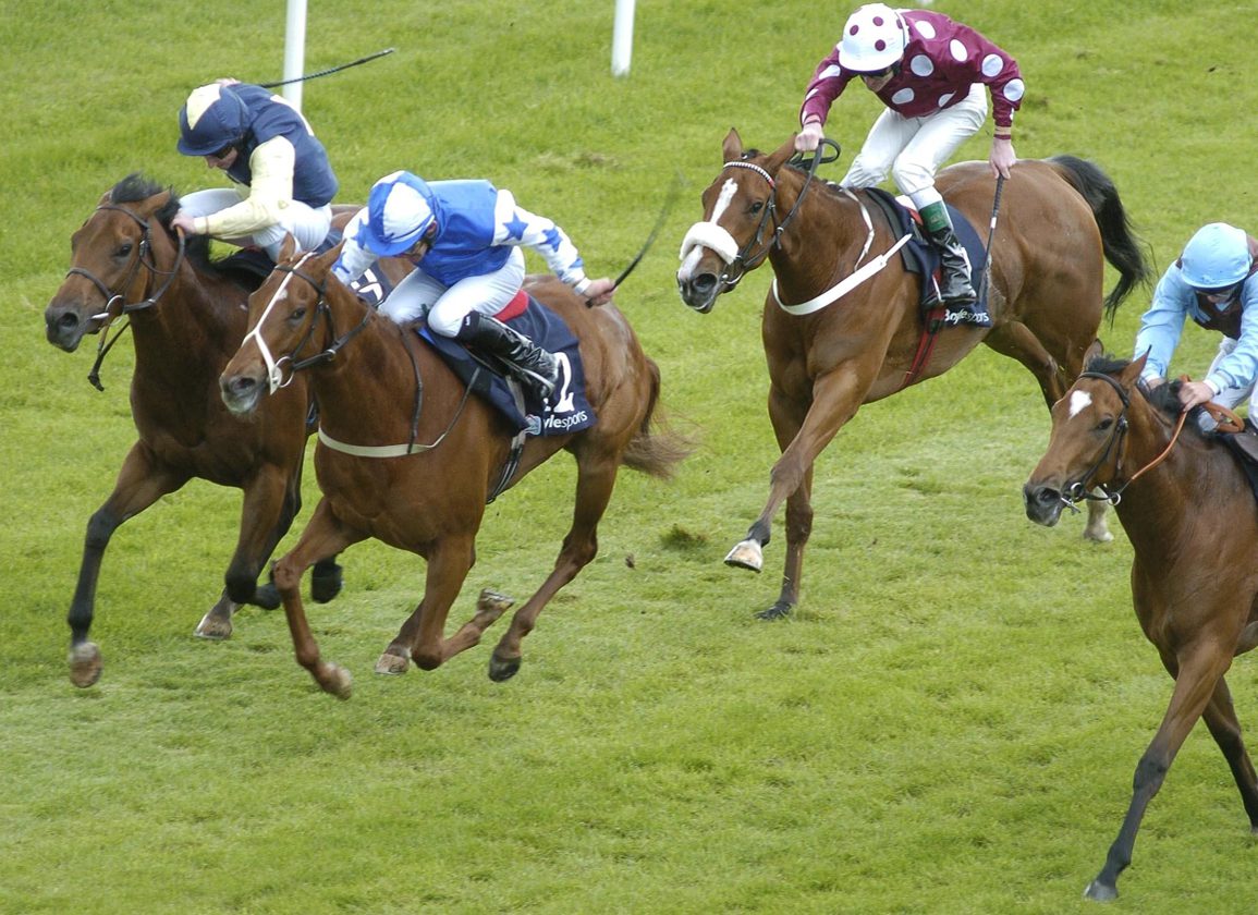 Owner Joseph Joyce Pays Tribute After Death of Saoire at 23