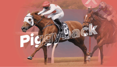 Piggyback - ANZ Bloodstock News