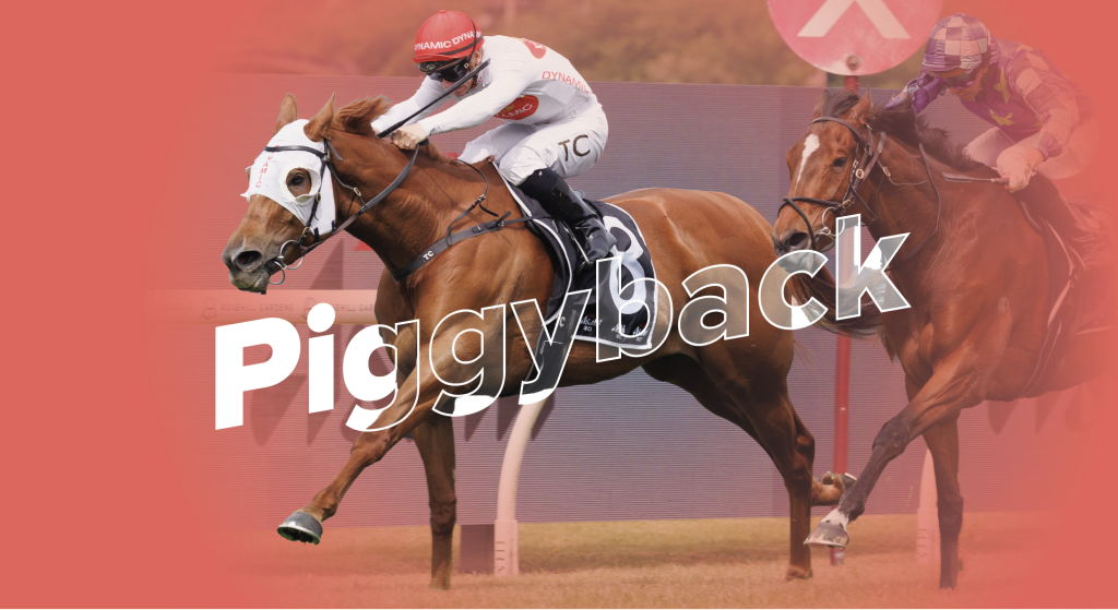 Piggyback - ANZ Bloodstock News