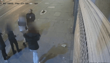Teenage girls sentenced after 75-year-old dies following North London assault
