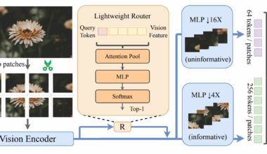 Vico Training Enables Dynamic High-Resolution Image Representation with Variable Vision Tokens, Minimizing KL Divergence by 50%