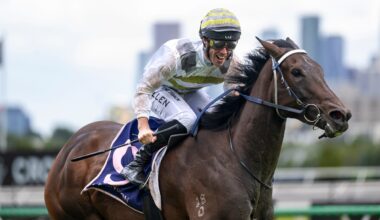 ‘It’s not an alien position to find ourselves in’