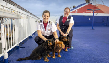 Stena Line to increase number of pet friendly cabins on Liverpool routes