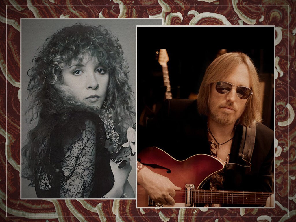 Stevie Nicks - Tom Petty - Split