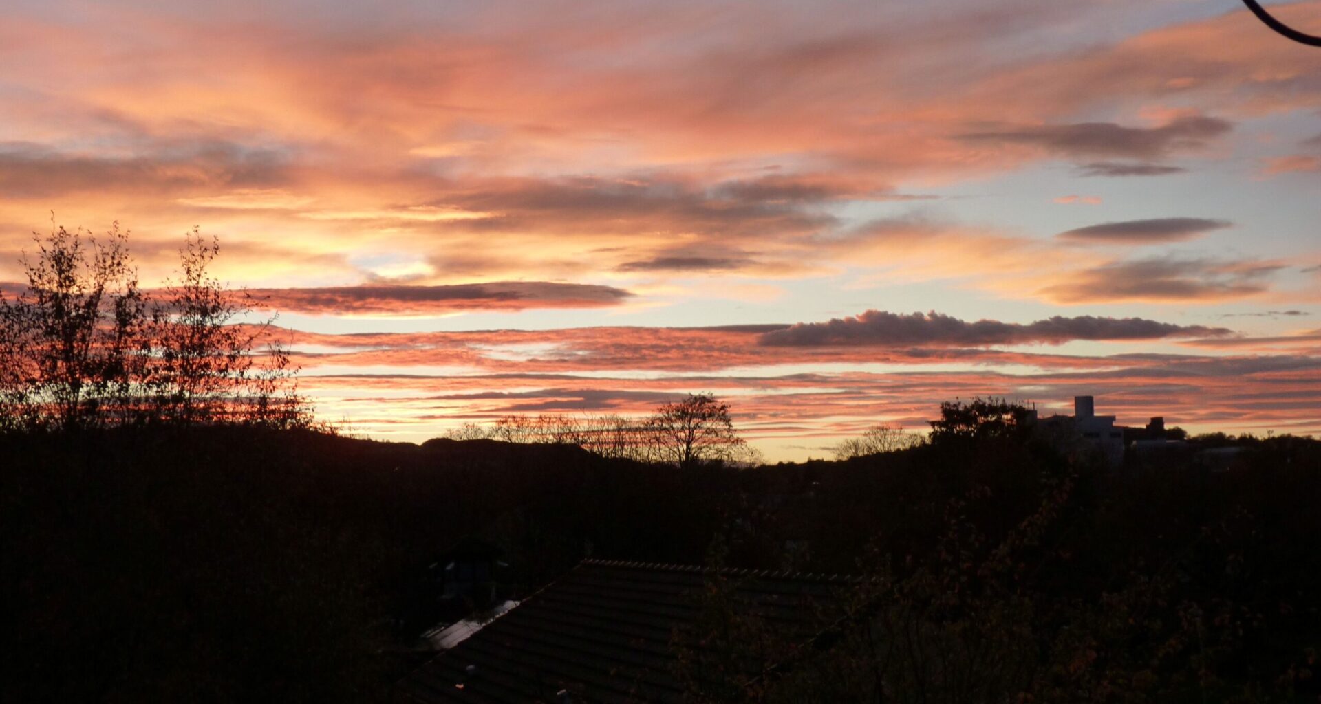 Letter from Scotland - The Edinburgh Reporter