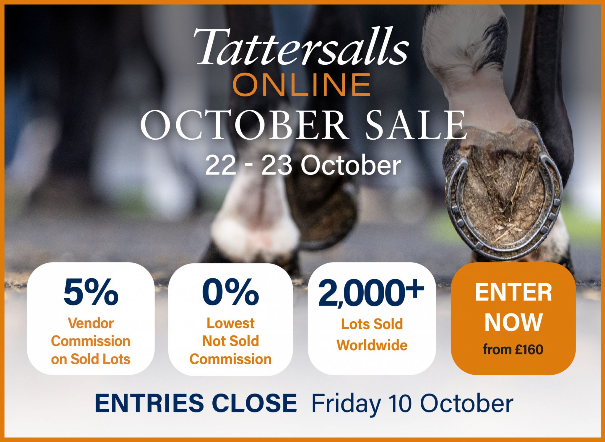 Tatteralls Online 10-10-25
