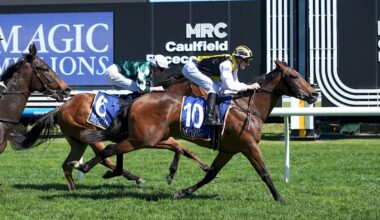 First stakes winner for Sword Of State as Torture caps of brilliant day for Go Bloodstock