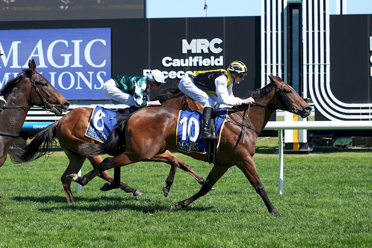 First stakes winner for Sword Of State as Torture caps of brilliant day for Go Bloodstock