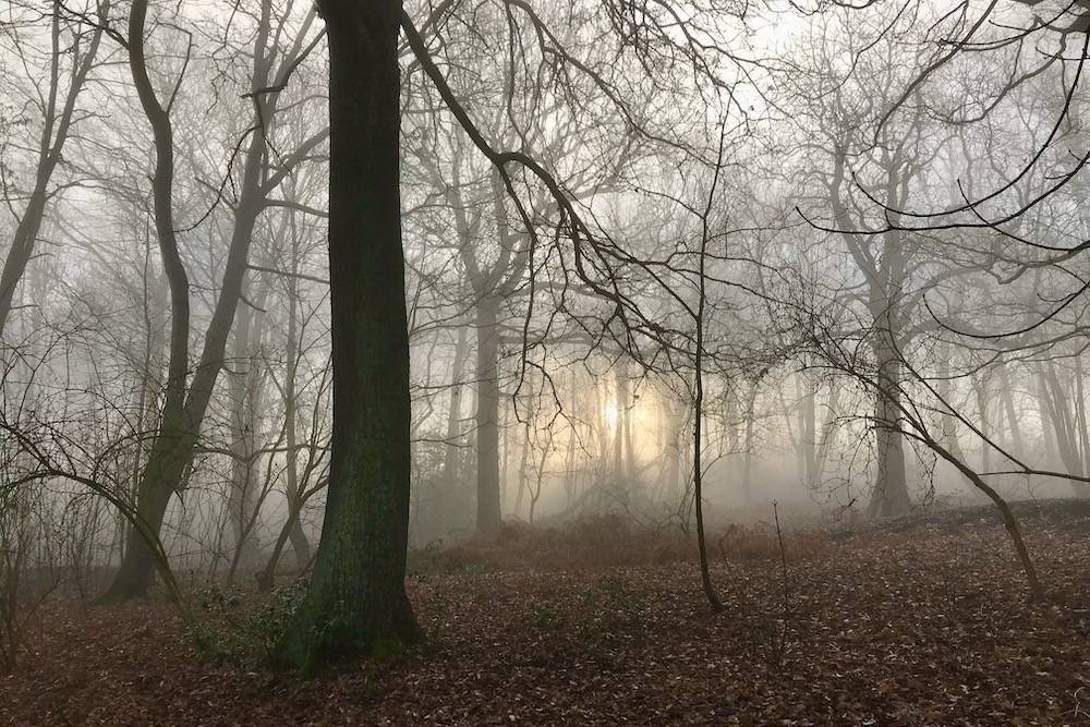 A guided Halloween walk in Middleton Park