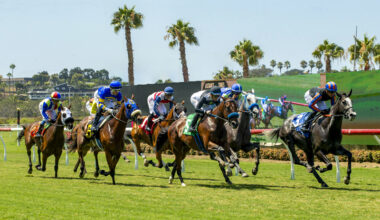 Del Mar's Fall Season Offers Robust Wagering Menu