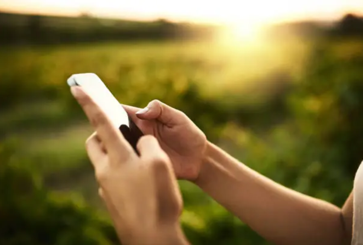 Tanzania Records 56.3 Million Internet Users as Connectivity Reaches 87% of Population