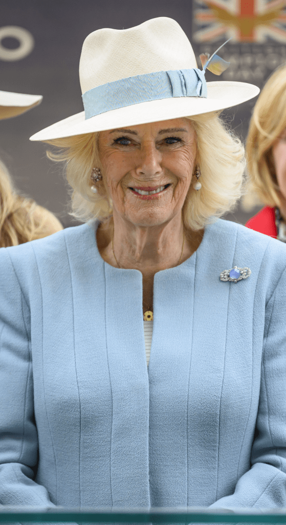 Queen Camilla wearing blue and a hat