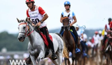 Iranian Horse Wins Grand Prix in France. Social media/ WANA News Agency