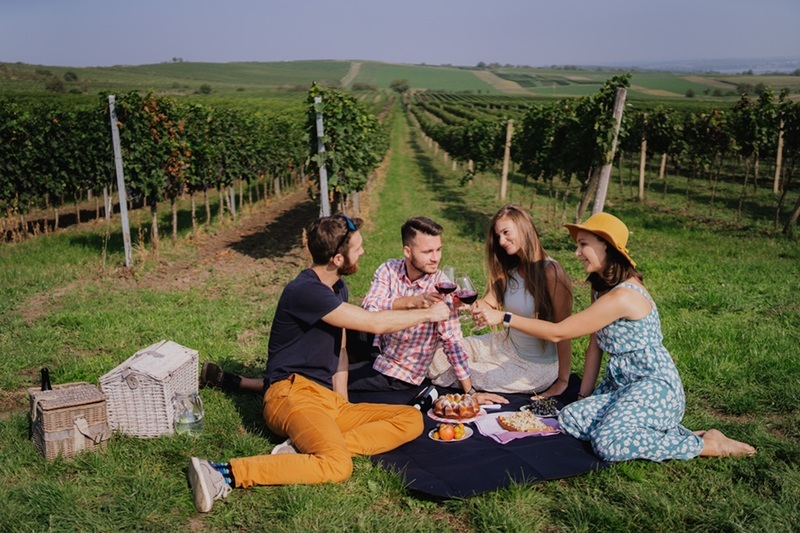 Spain’s New ‘One-Beer’ Driving Law: Stricter Alcohol Limits for Tourists Could Lead to £875 Fine