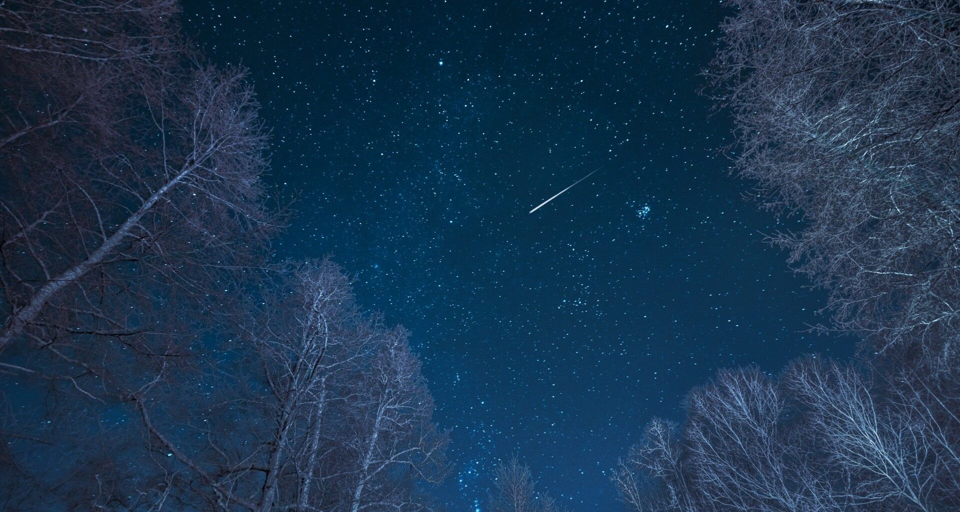 A meteor is pictured blazing through a star-strewn sky from the perspective of a viewer looking up through the barren tree branches of a snowy forest.