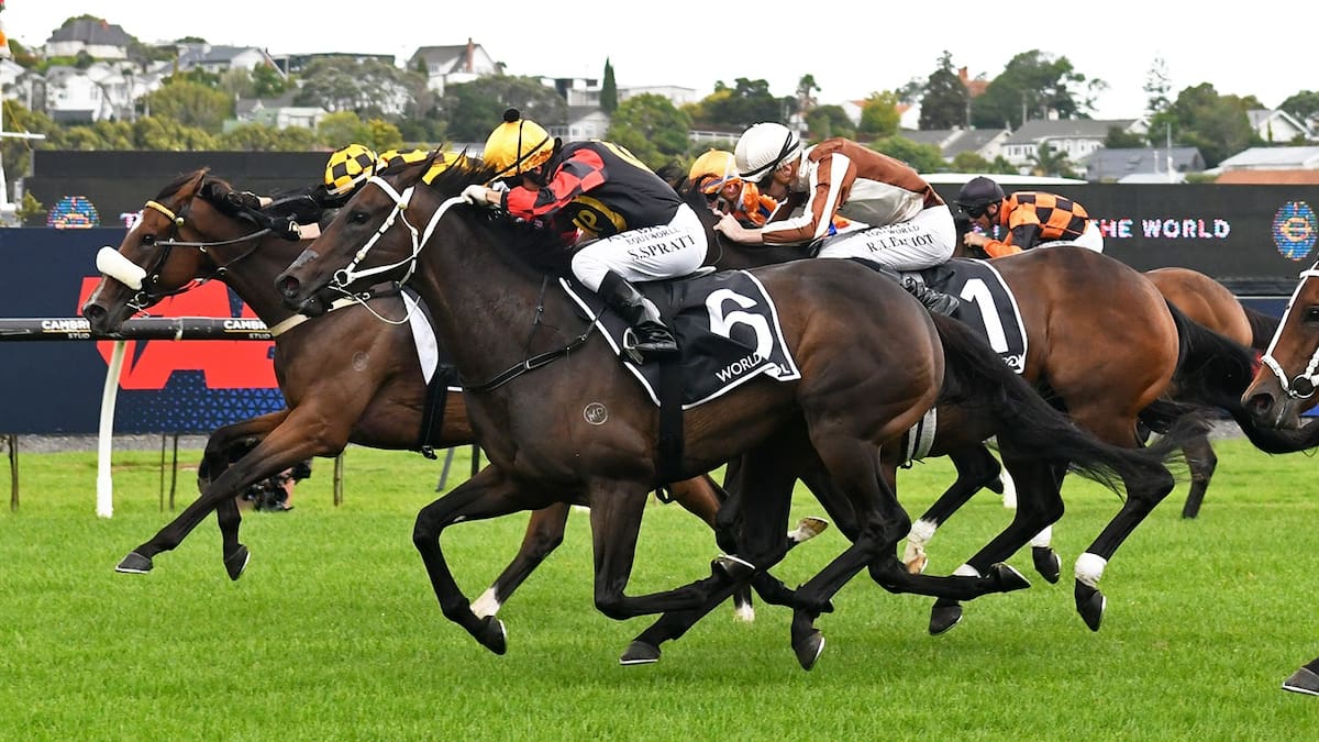Provence looks ready to resume where she left off last season