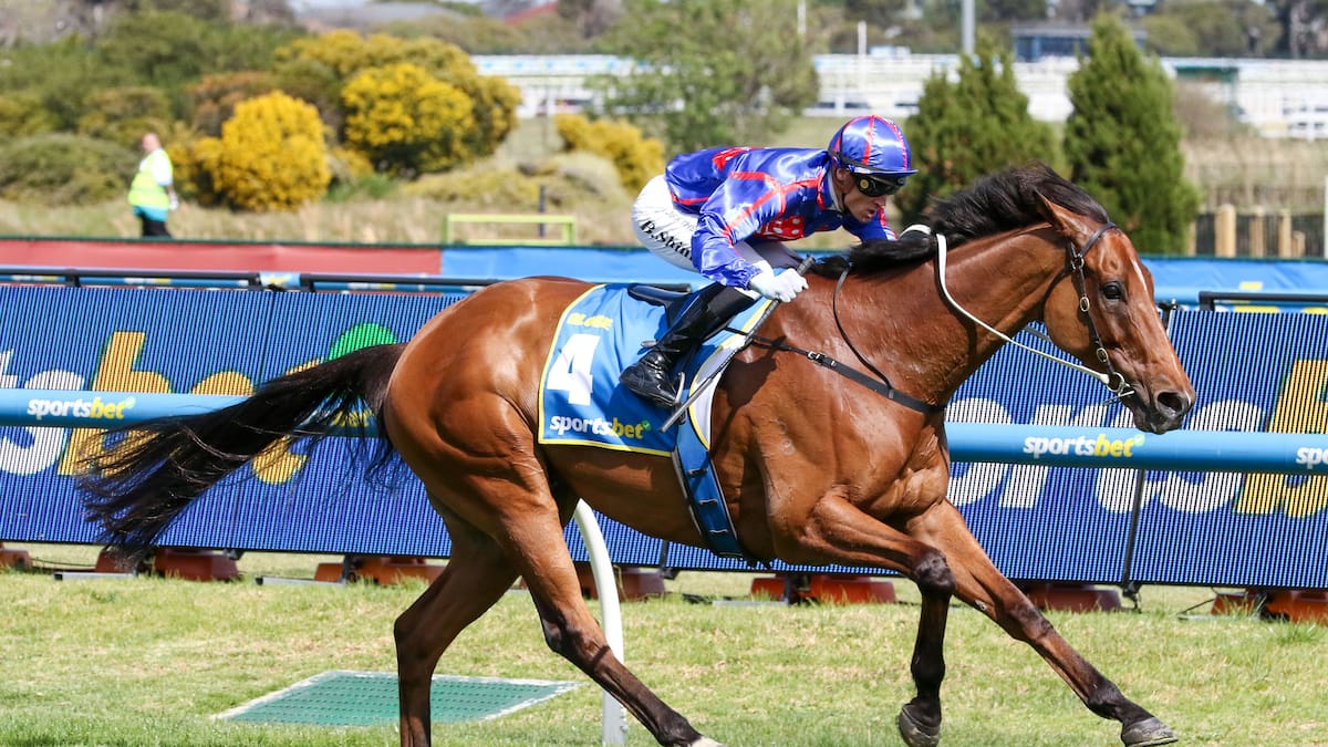 Horse racing: Cox Plate drama as New Zealand-bred galloper could be forced from iconic race