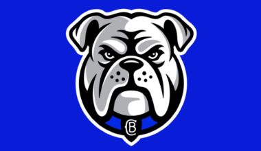 Canterbury-Bankstown Bulldogs new logo