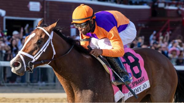 Making Money Betting Tommy Jo in 2025 Alcibiades Stakes