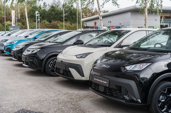 A row of BYD cars are displayed in a showroom forecourt A row of BYD cars are displayed in a showroom forecourt