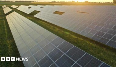Stock photo of photovoltaic - or solar - panels in a green field with the sun low in the horizon in the background