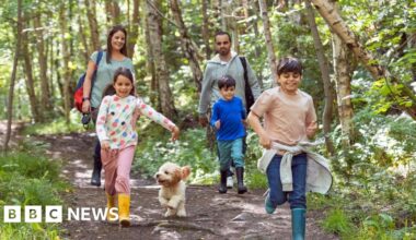 Four health benefits of the outdoors