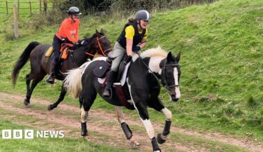 Two horse riders, one in an orange top, and one in a yellow top, riding horses which are galloping past the camera.