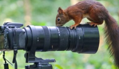 Documentary Effect – People Look for Travel Inspiration in Documentaries