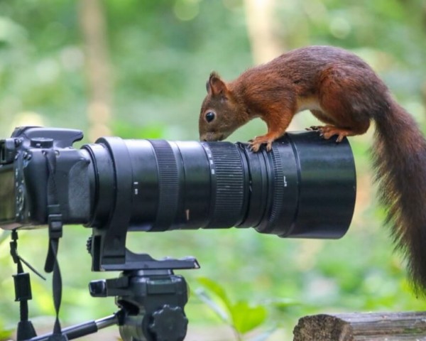 Documentary Effect – People Look for Travel Inspiration in Documentaries