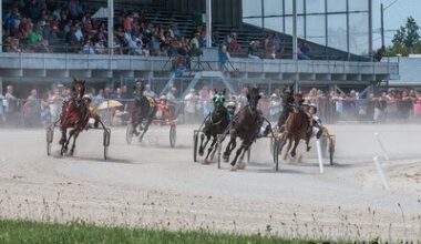 Leamington Raceway seeing high attendance and betting as horse racing season continues