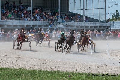 Leamington Raceway seeing high attendance and betting as horse racing season continues