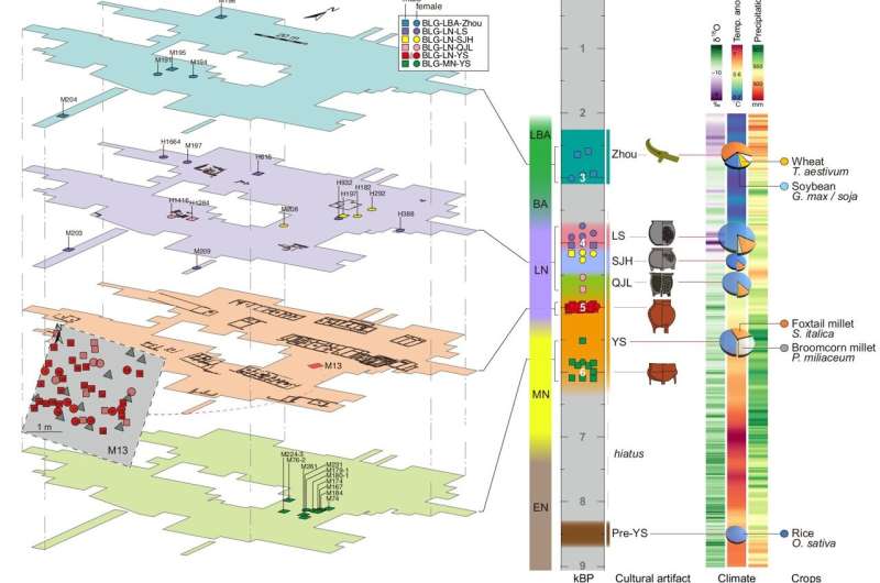 Ancient DNA reveals prehistoric connections and a patrilineal society in early China