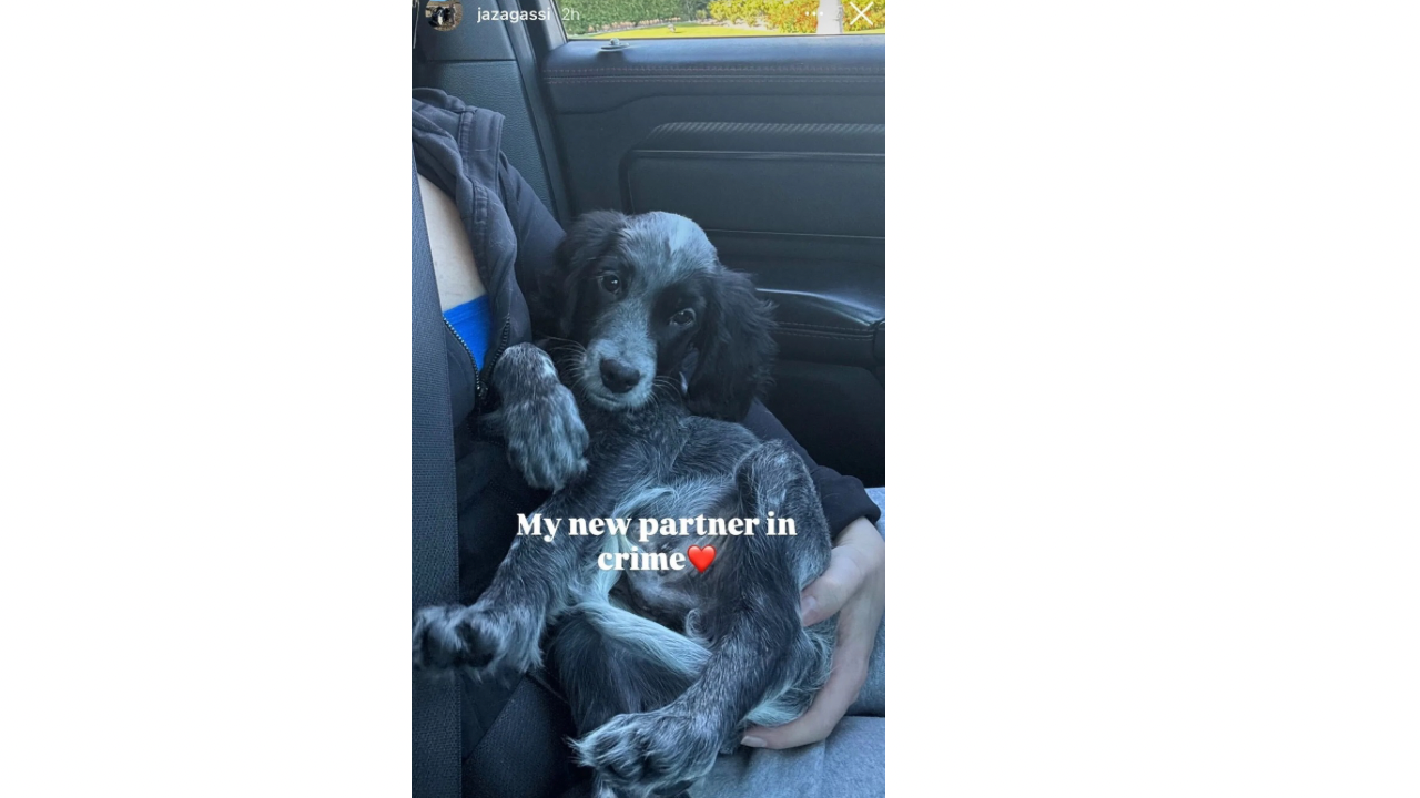 IG/Jaz Andre Agassi and Steffi Graf daughter Jaz steals attention by introducing adorable new partner Copper to the world