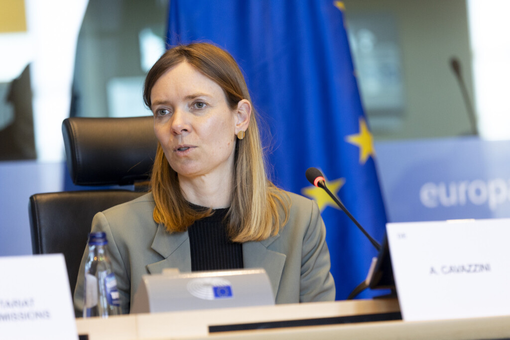 Anna Cavazzini leitet eine Sitzung es IMCO-Ausschusses.