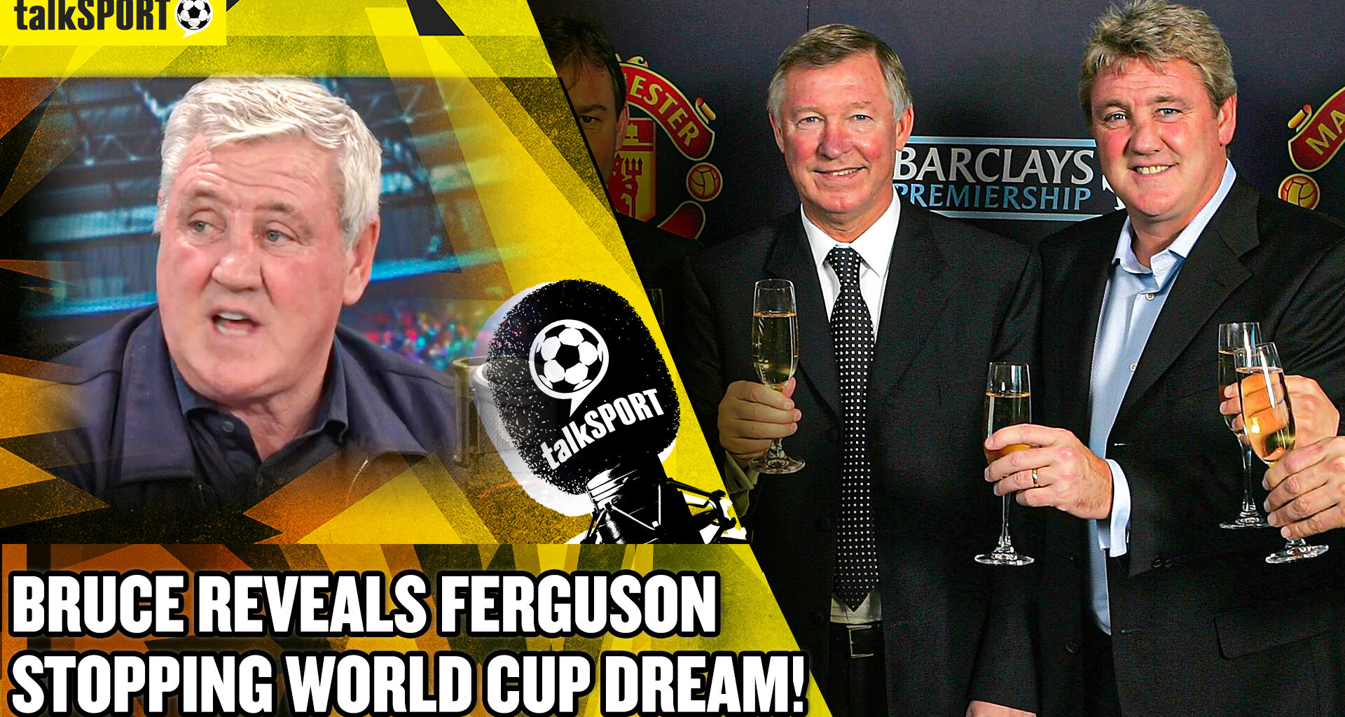 Alex Ferguson blocked Steve Bruce's World Cup dream over Manchester United rules furore