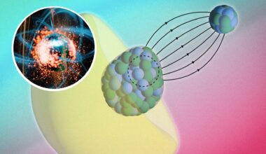 What killed Napoleon’s army? Scientists finally uncover the 200-year-old truth