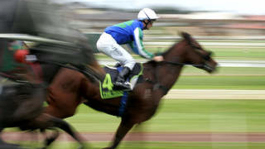 Racing returns to Newcastle on Tuesday.