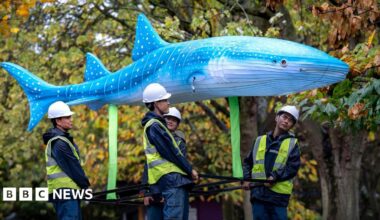 Four men in hard hats and fluorescent jackets carry a lantern shaped like a blue whale above them. Trees can be seen in the background with green and orange leaves