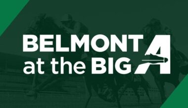 No Evidence hopes to prove best in $150K Carle Place