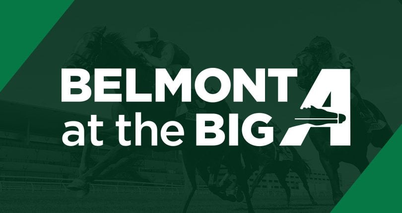 No Evidence hopes to prove best in $150K Carle Place