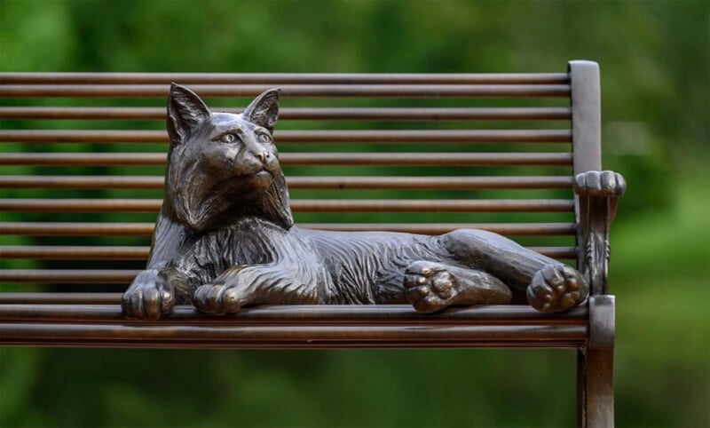 A bronze bench features a detailed sculpture of a lounging cat integrated into its design, with the cat’s paws draped over the bench slats. Lush green foliage is blurred in the background.