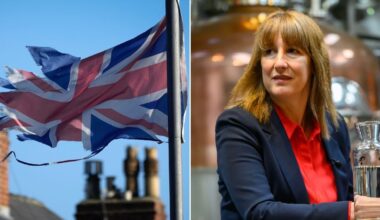 Government finally acknowledges 'severe' economic impact of Brexit