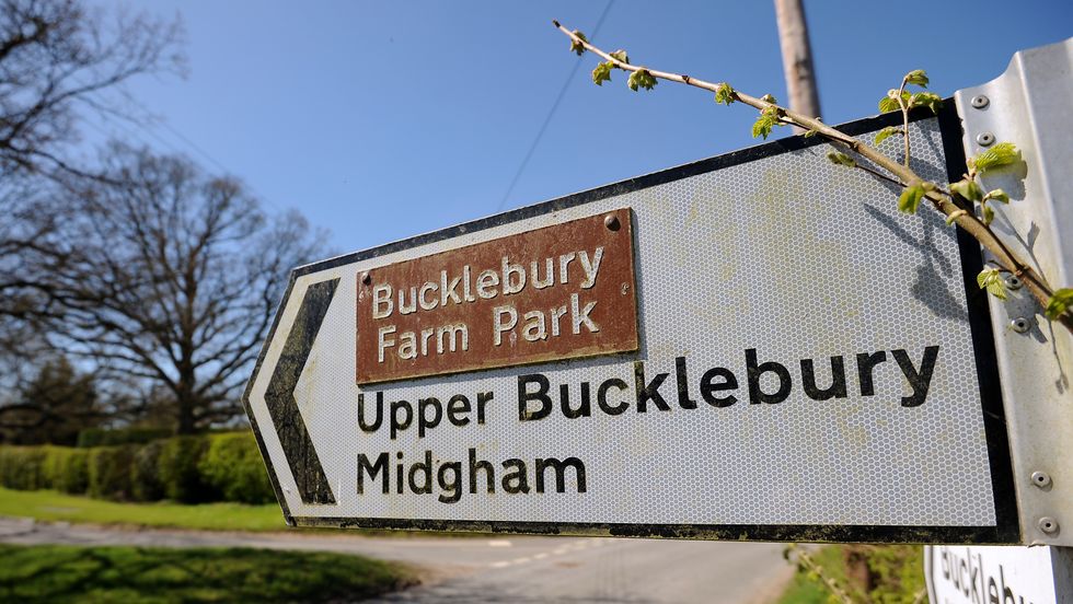 Bucklebury Farm Park